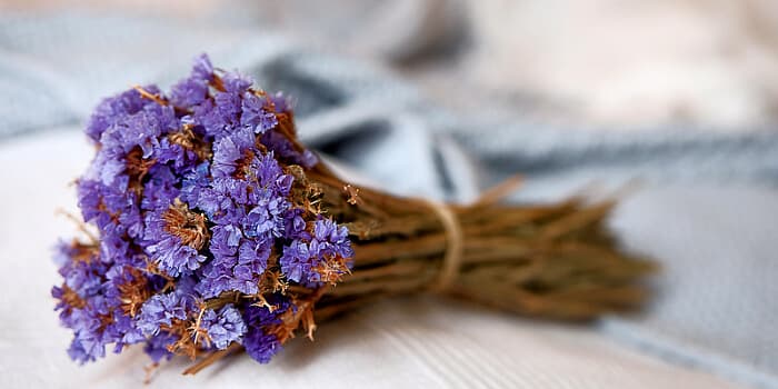 Die Schönheit der Natur bewahren: Die Kunst, Blumen zu trocknen