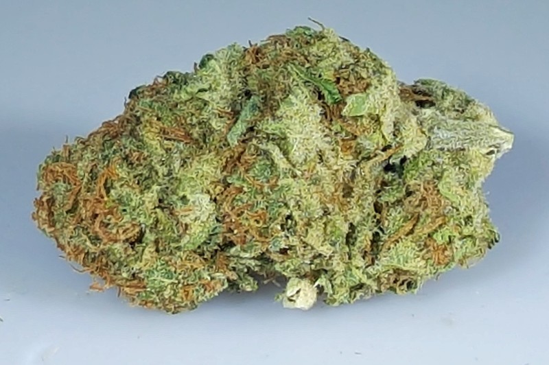 Wie Cannabis Sativa die Welt der Hanfsamen revolutionierte