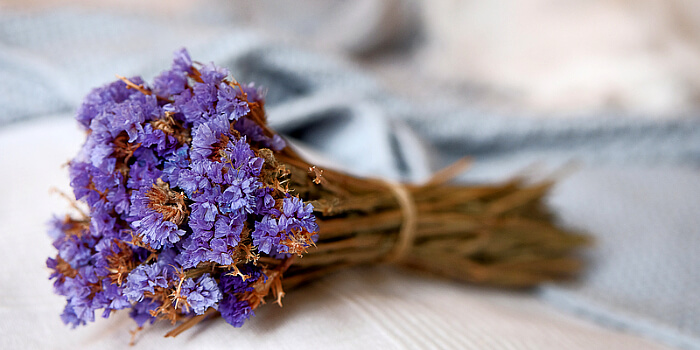 Die Schönheit der Natur bewahren: Die Kunst, Blumen zu trocknen