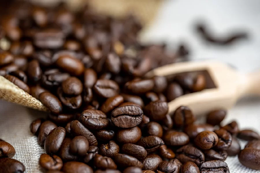 Entdecken Sie die Welt von Gute Kaffeebohnen