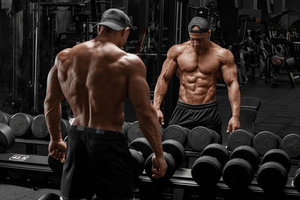 Die Kraft von RAD 140: Wie RAD 140 Ihre Fitnessrevolution antreibt